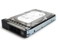 HDD 2TB NL-SAS Dell 7.2K RPM 12Gbps 512n 3.5in Hot-Plug Hard Drive (compatibil G13)