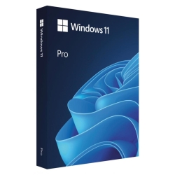 Microsoft Windows 11 Profesional 64-bit, Romanian, Retail/FPP, USB
